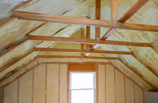 Best Commercial Insulation Contractor  in Rosita, TX