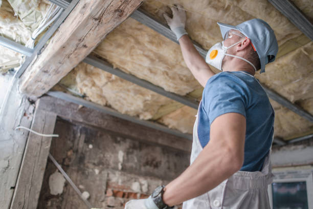 Best Wall Insulation Contractor  in Rosita, TX