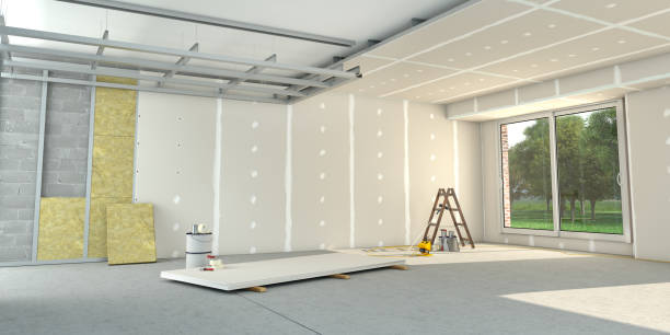 Best Attic Insulation Installation  in Rosita, TX