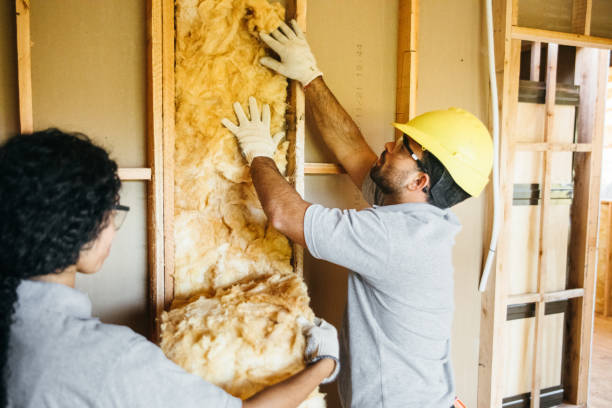 Range of Insulation Solutions in Rosita, TX