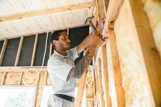 Professional Insulation Contractor in Rosita, TX