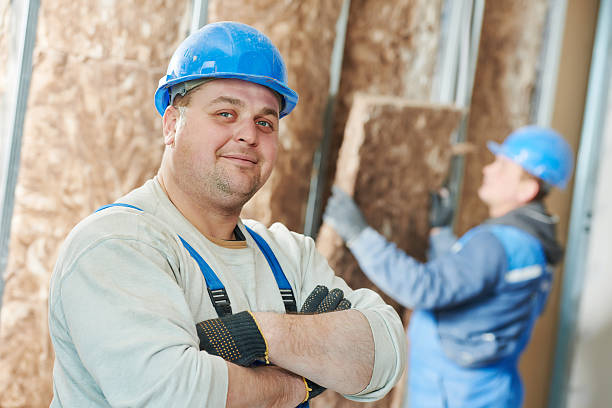 Best Fiberglass Insulation  in Rosita, TX